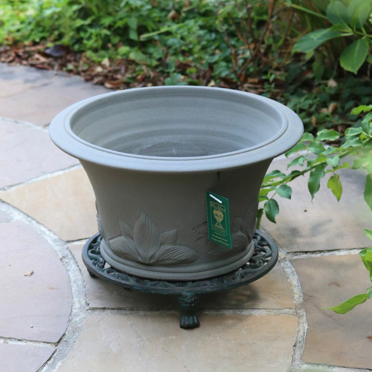 アッシュグレイのホスタがあしらわれたウィッチフォードの植木鉢の写真