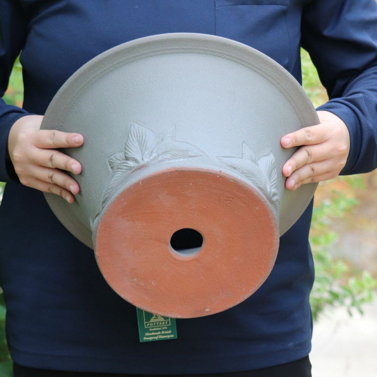 アッシュグレイのホスタがあしらわれたウィッチフォードの植木鉢の写真