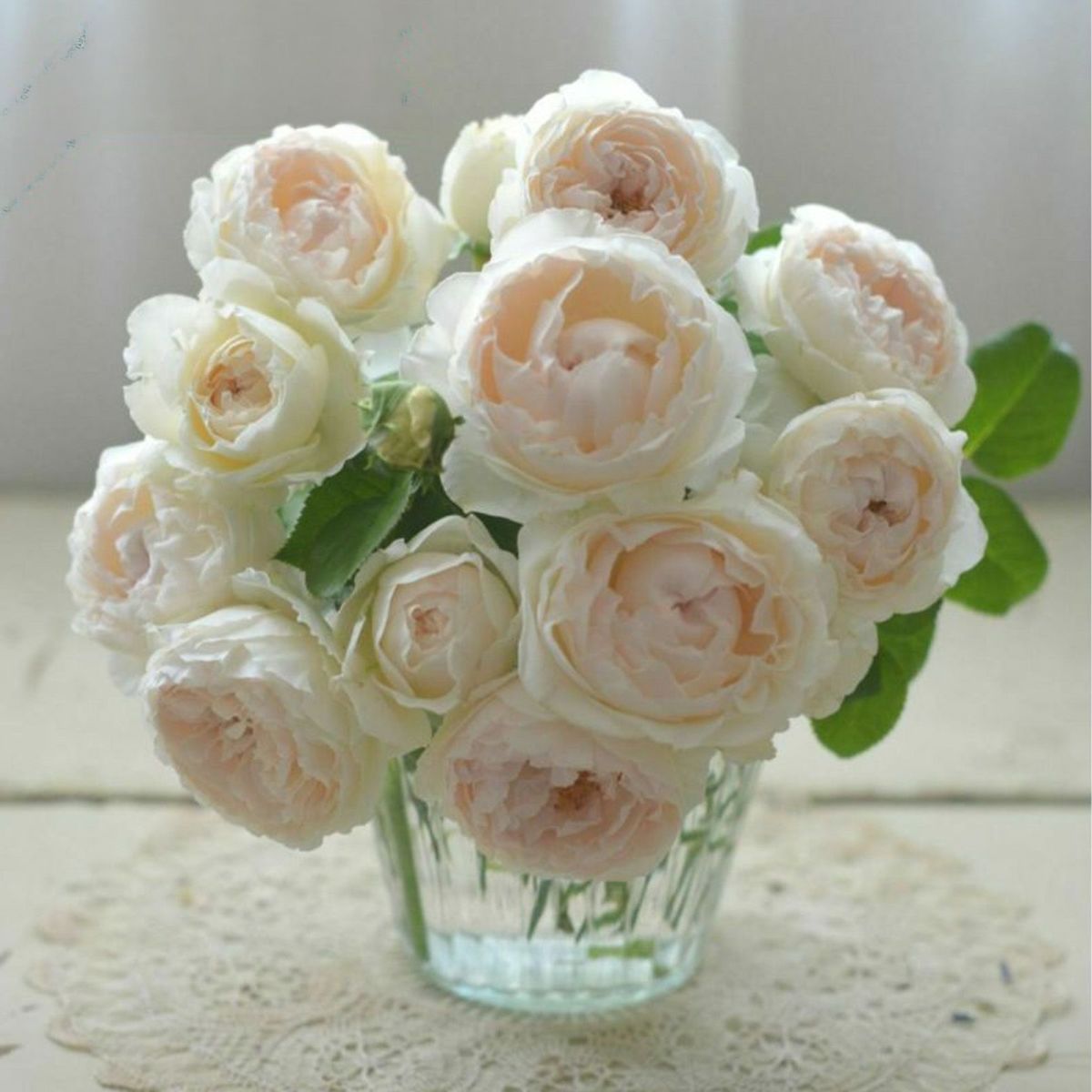 クリームホワイトにほんのりピンク色をしたミエルドゥフォレというバラの画像