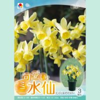 エンジェルウィスバー