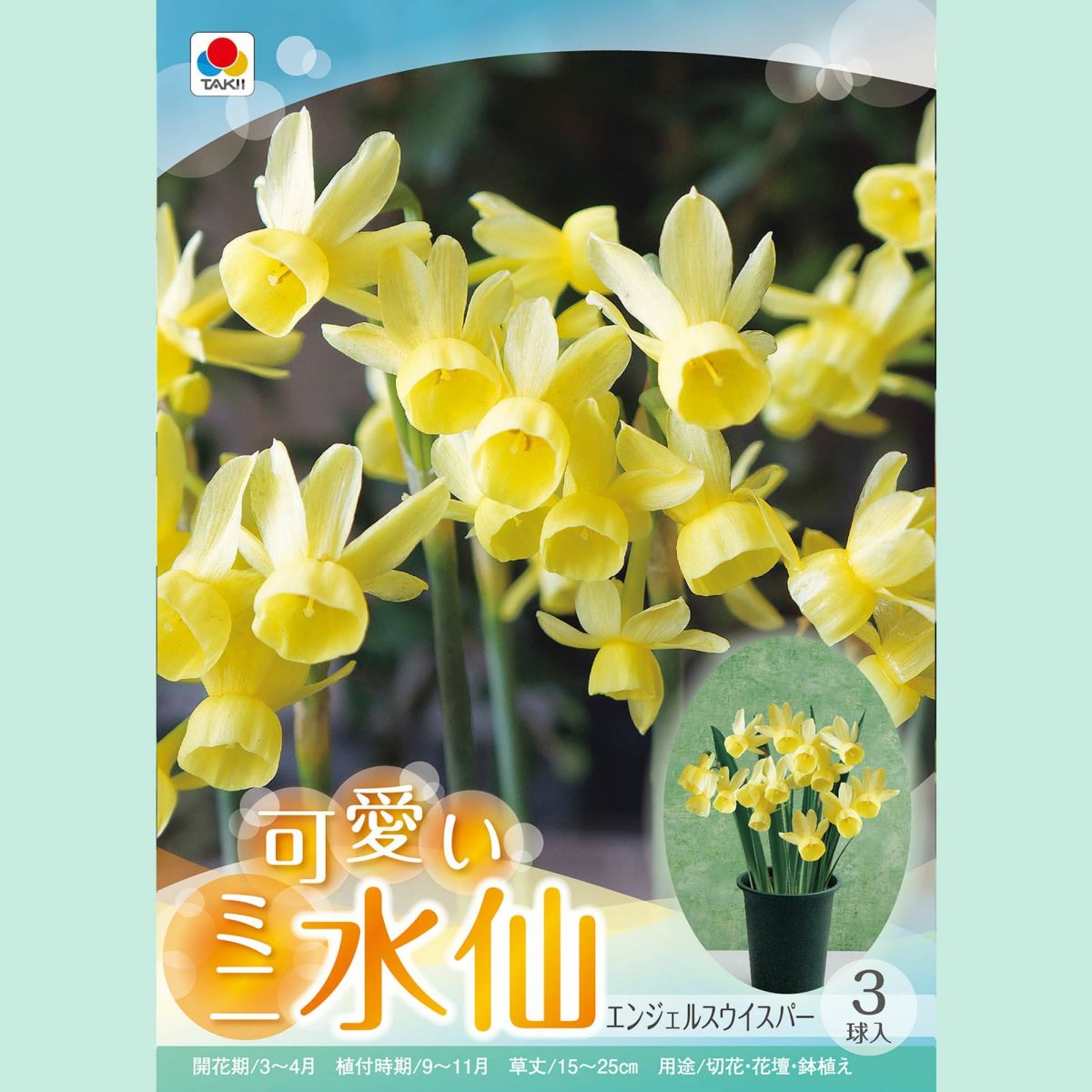 エンジェルウィスバー