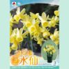 エンジェルウィスバー