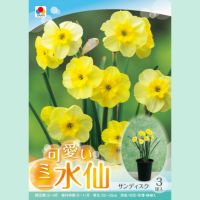 サンディスク