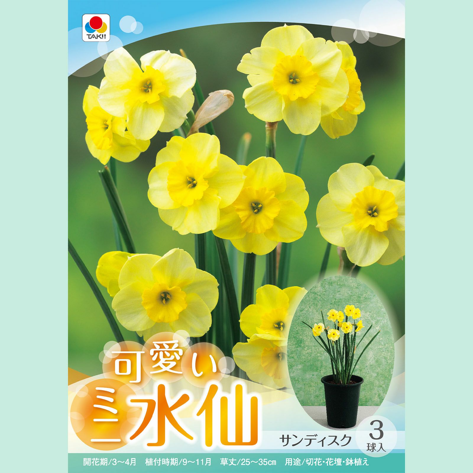 サンディスク