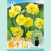 サンディスク