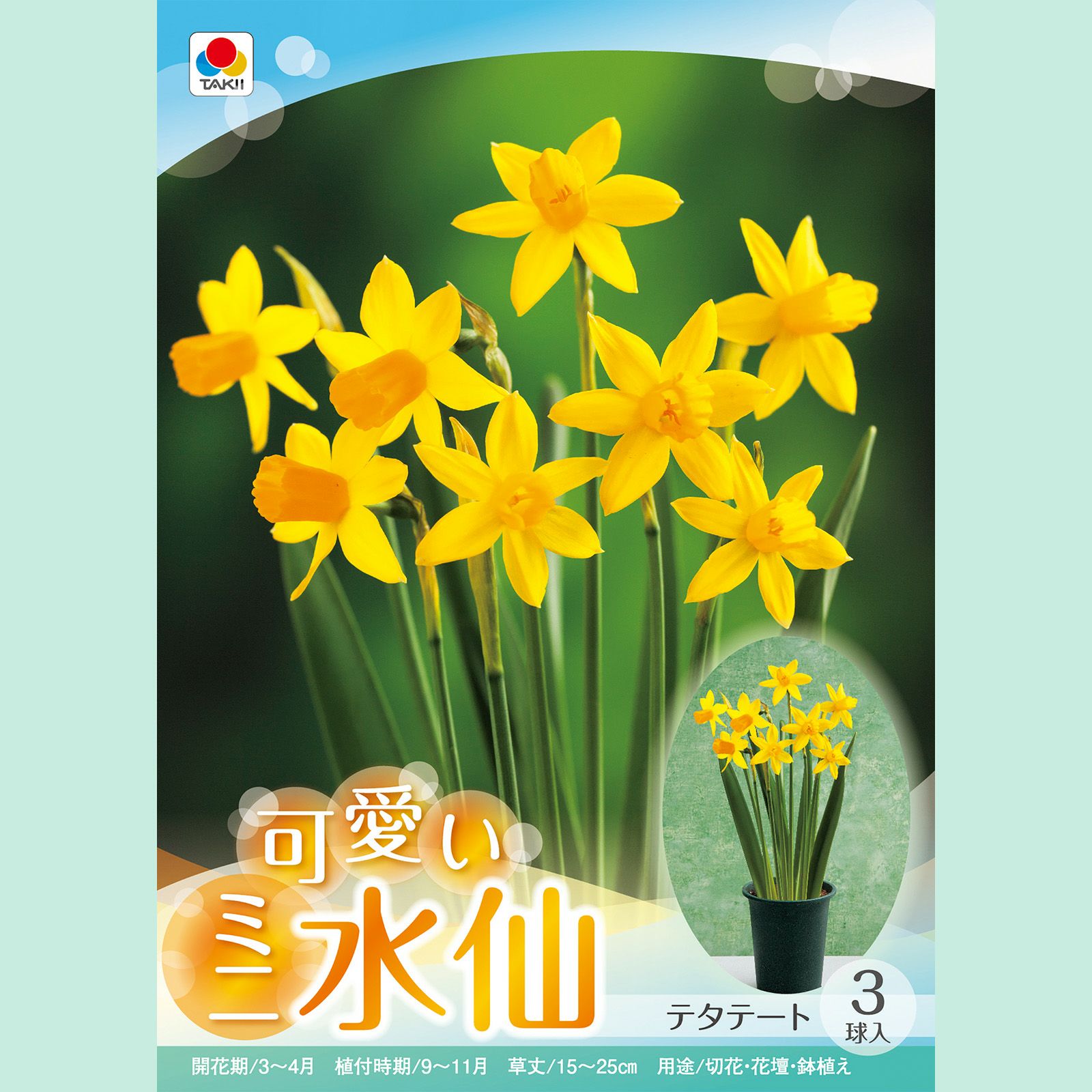テタテート