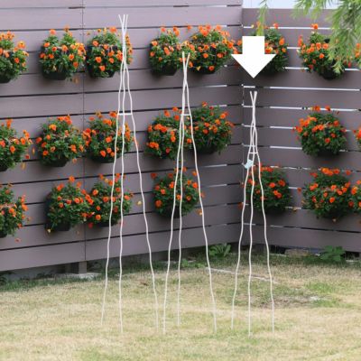 HGC雪の妖精ケイティ]クリスマスローズ苗(2510ch) | バラと庭あそび